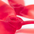 files/569A2665.jpg