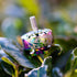 files/569A2946.jpg