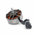 files/ECOII6218_10.png