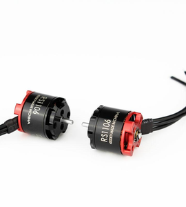 EMAX RS1106 Micro Brushless Motor (1 pcs)